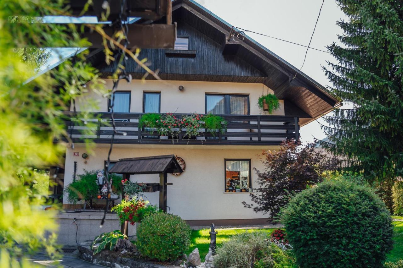Apartma Borovc Мойстрана Экстерьер фото